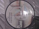 the chameleons script of the bridge picture disc/album