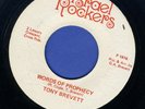 1274 TONY BREVETT-WORDS OF PROPHECY-ISRAEL ROCKERS-(TUBBY)-1976 REGGAE 45 7