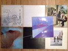 6 Pink Floyd Vinyl 12