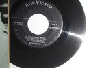 Elvis 7
