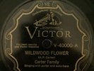 Victor 40000- THE CARTER FAMILY- Wildwood Flower/Forsaken Love 78rpm E/E-