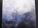 Wolves In The Throne Room - Celestite 2 LP Mint- DIA013 Clear Vinyl Record w/Mp3