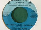rare sweet soul funk 45 DARLING DEARS and I Love You FLOWER CITY original hear