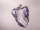 WEEN - White Pepper - Vinyl (LP)