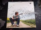 Oliver Koletzki - Der Mückenschwarm 12' Vinyl