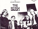 The BUSH Feeling Sad And Lonely 1966 California Garage Punk RARE PS HEAR