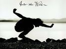 Eddie Vedder  - Into The Wild(O.S.T.) 180g Vinyl - Music On Vinyl