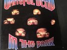 Grateful Dead In The Dark Vinyl Lp Record VG Jerry Garcia