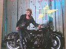 brian setzer vinyl 12
