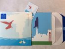 Sufjan Stevens Enjoy Your Rabbit Vinyl LP Record