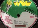 WAILING SOULS 