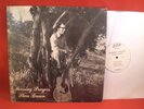 STEVE BROWN : Morning Prayers (CCP 1001) Private Christian XIAN Folk Rock SSW LP