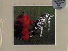 Rush - Signals LP 200g Vinyl RI NEW