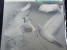 Free Form - Donald Byrd LP Blue Note 4118 Mono 1963