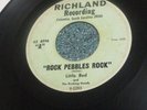 LITTLE RED AND THE ROCKING HOODS Garage 45 ROCK PEBBLES ROCK/TWIST AND SHOUT