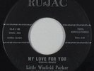 Deep Soul/R&B 45 - Little Winfield Parker - My Love For You - Ru-Jac - mp3