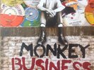 Monkey Business: The 7
