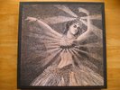 Neutral Milk Hotel Vinyl Box Set /3x7”/2x10”/2xLP/Posters