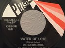 Northern Soul Popcorn 45 The DeCrescendos Water Of Love on Prism HEAR