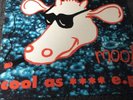 Inspiral Carpets - Cool As **** EP - Original Cow Records 12 Inch Vinyl dung9-1
