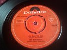 THE NIGHTRIDERS It's only the dog 1966 7