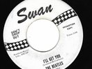 BEATLES SHE LOVES YOU B/W: I'LL GET YOU 45 RARE SWAN PROMO WHITE LABEL.