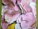 STILL LIFE-STILL LIFE-PROG/PSYCH LP-VERTIGO SWIRL-CANADA-VG+/VG+