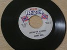 near mint 1966 JOHNNY REBEL kajun looking for a handout
