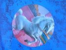 Magnum | Picture Disc | Vigilante | 831 708-1 | Vinyl NM