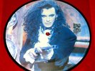 DEAD OR ALIVE -Brand New Lover- Rare UK 7