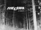 The CURE, A Forest. ORG 7