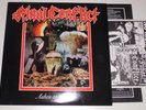 Final Conflict - Ashes to Ashes, Vinyl, Neu
