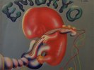 Embryo Rocksession GREEN BRAIN NEAR MINT Brain Vinyl LP