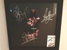 DEPECHE MODE **SIGNED** VIOLATOR VINYL Toronto w/PASS & C.O.A & FRAMED