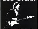 Bob Dylan: 