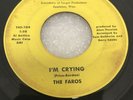 THE FAROS Rare Wisconsin Garage Punk on Target 1966