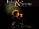 Echo & The Bunnymen ?- It's All Live Now LP - Limited Vinyl Record NEW Numbered