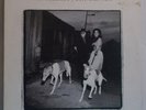 VAN MORRISON - Days Like This - Original 1995 Euro LP + Inner