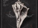 Robert Plant-Lullaby And...the Ceaseless Roar  VINYL NUEVO (Importación USA)