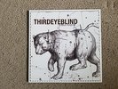 third eye blind signed It's a Major lp. Stephen Jenkins. Brad Hargreaves
