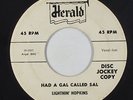 Blues 45 - Lightnin' Hopkins - Had A Gal Called Sal - Herald - mp3