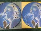 Madonna Erotica Picture Disc Reissue With Backing Card