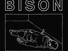 Bison B.C.- One Thousand Needles 12