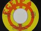 Psych Fuzz 45 - Ron Wray Light Show - Speed - ECEIP - VG+ mp3