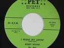 R&B 45 - Bobby Adams - I Want My Lovin' - Pet - VG++ mp3