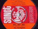 The Hurriganes - Hey, Hey, Hey / Elephant's Boogie - 1977 SONET (VG+)