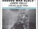 Junior Wells-Hoodoo Man Blues (2LP)  VINYL LP NUEVO (Importación USA)