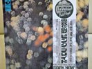 Japan Odeon LP  Pink Floyd ?/ Obscured By Cloud EOP-80575 Free Shipping