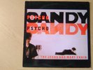 The Jesus and Mary Chain Psychocandy 12