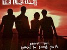 Anthems For Doomed Youth, The Libertines, Vinyl, 0602547462817